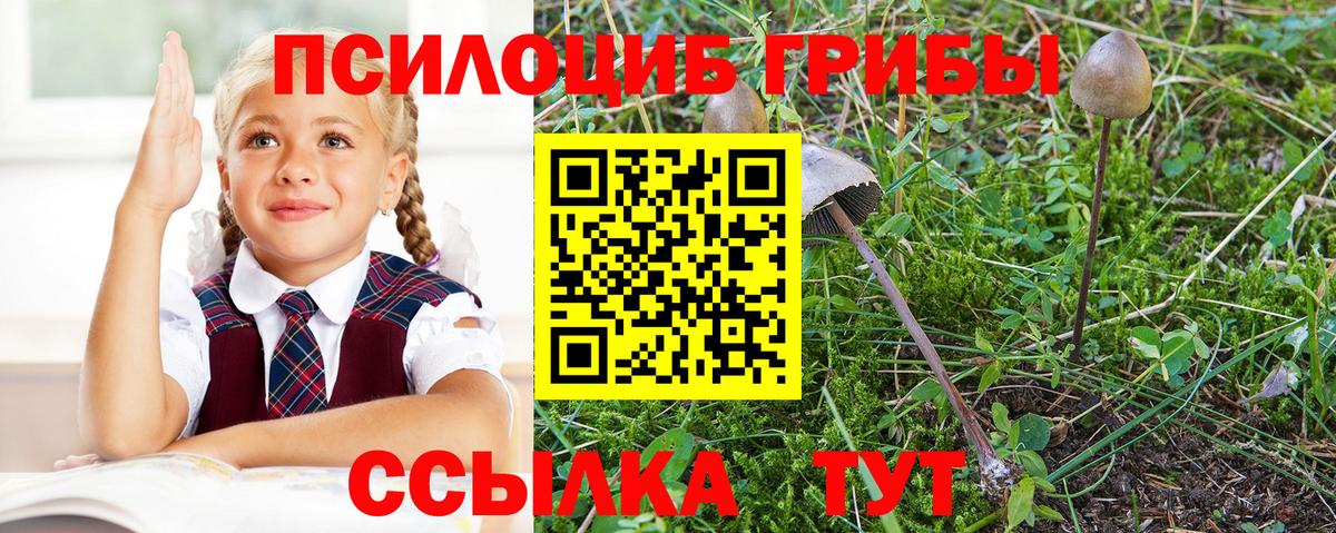 Галлюциногенные грибы мицелий  Вход с VPN  Пыть-Ях 